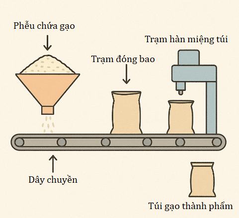 Hình minh họa câu hỏi